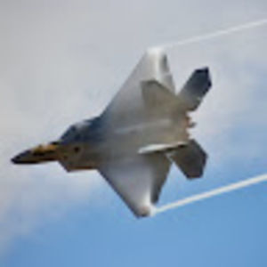 Meet your Posher, Bodi